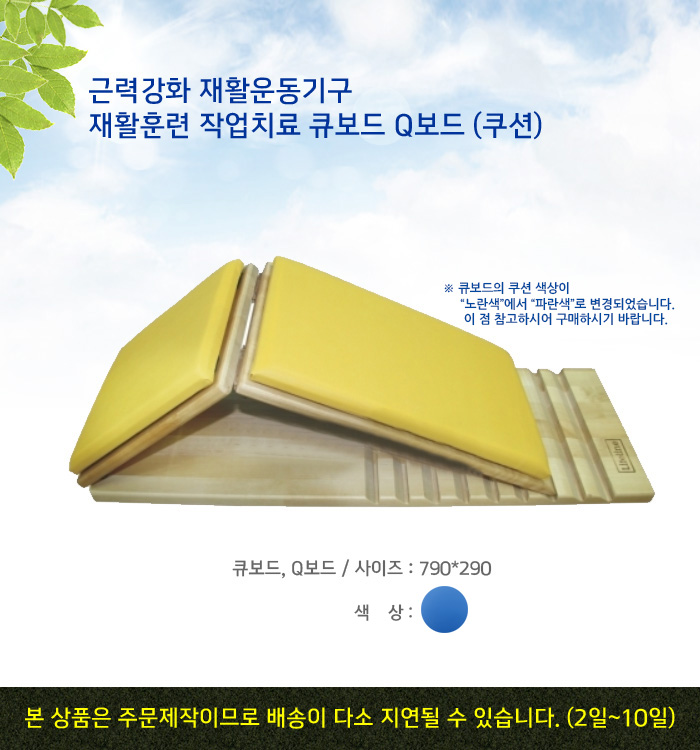 근력강화 재활운동기구 재활훈련 작업치료 큐보드 Q보드 SP41203(쿠션)