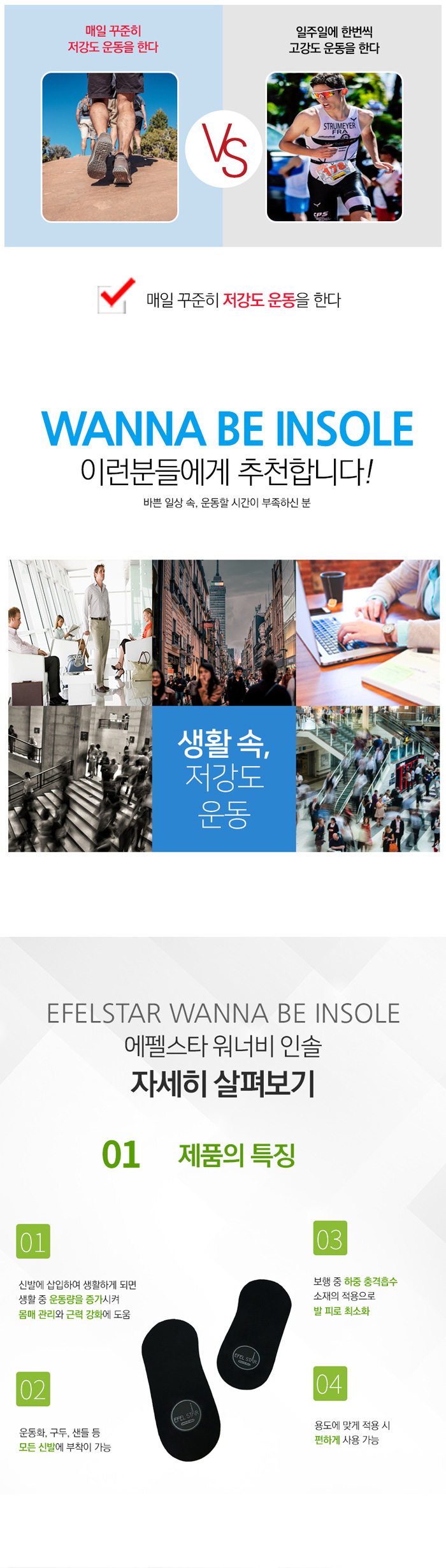 에펠스타 워너비 인솔
