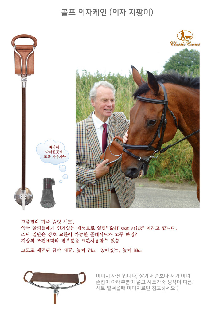 골프 의자케인 (의자 지팡이)