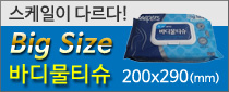 바디물티슈